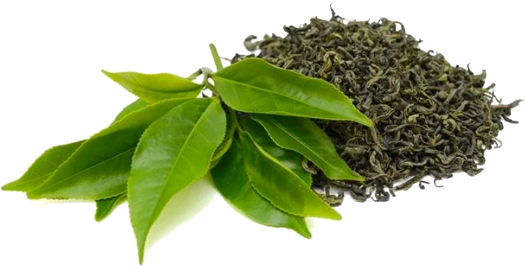 Tea Leaves